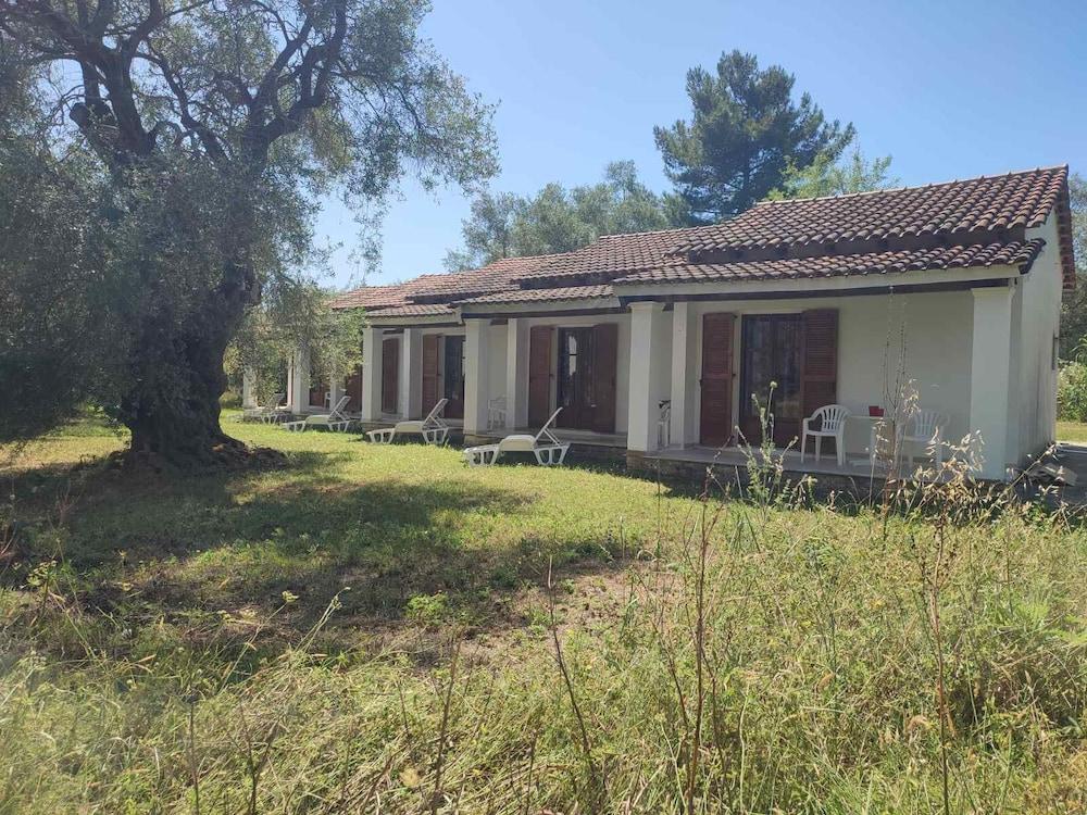 Repose Olive Grove Roda