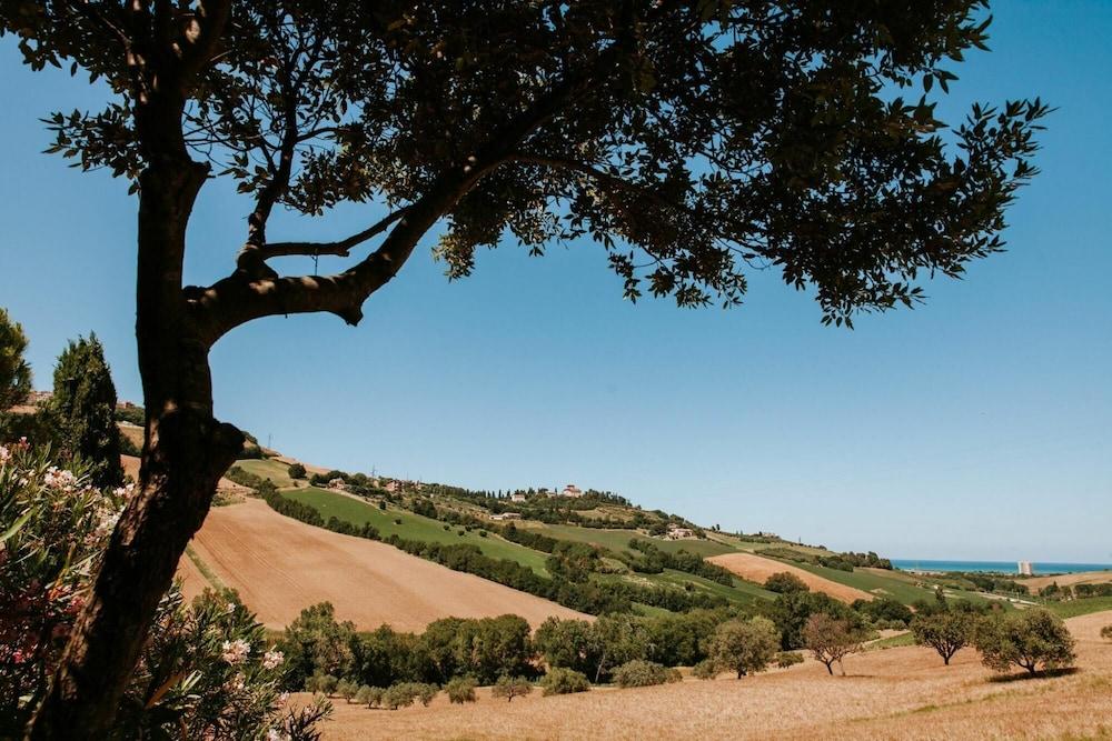 Villa Millefiori - Villa Millefiori