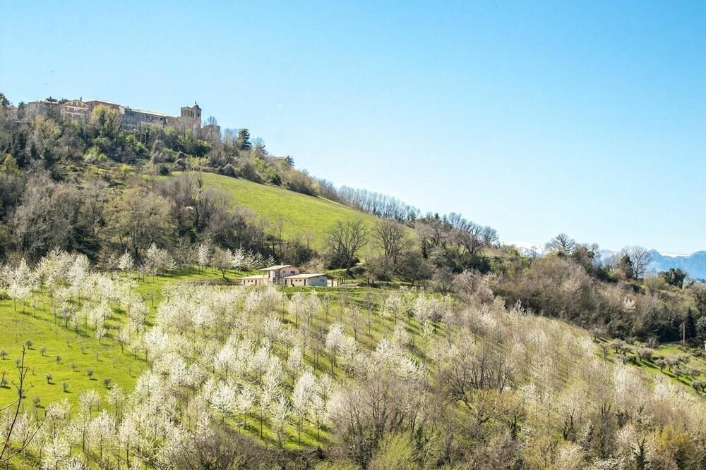 Villa Zen - Villa Zen