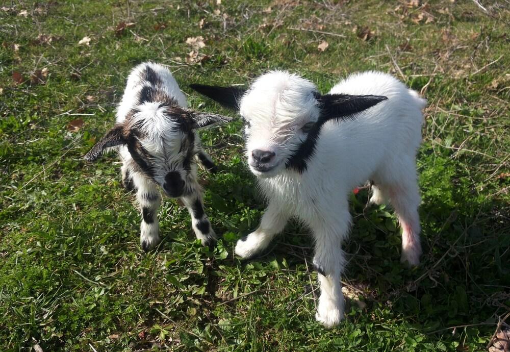 Rotecastello Nature Holiday Shared Pool