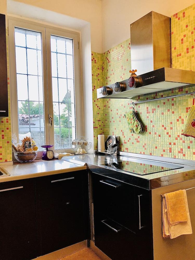 Cien Días al Artista