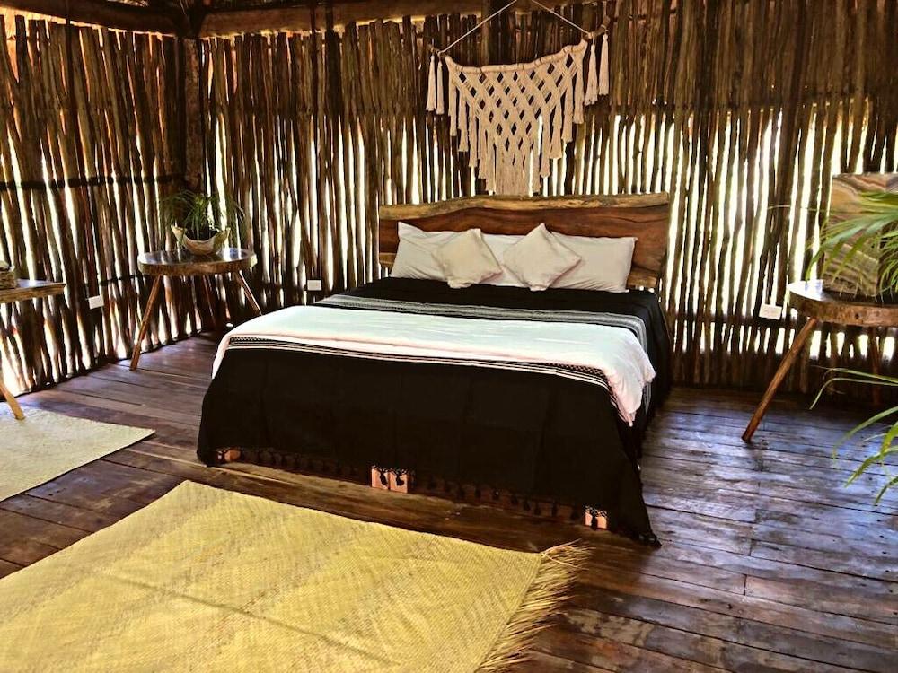 Jungla y Estrellas K AAX EK