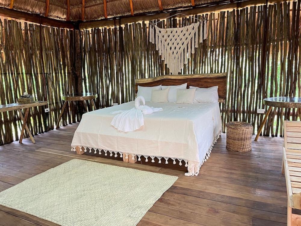 Jungla y Estrellas K AAX EK