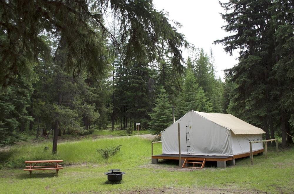 Fortine Creek Camping