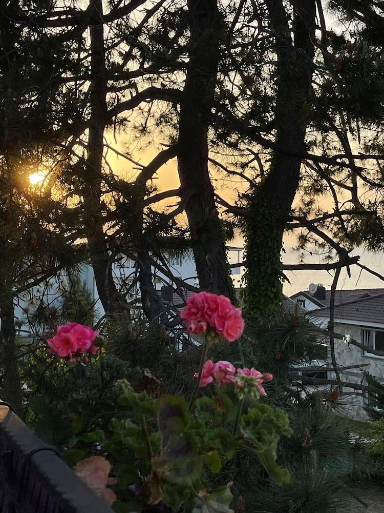 Lalezar Sea & Garden Hotel