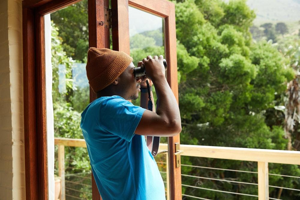 Luxury Tree Loft Tree Cabin for 4 People 4