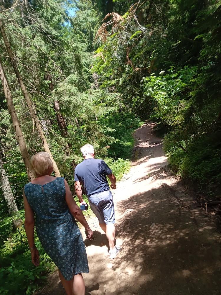 Room in Guest Room - Rural Holiday Transylvania