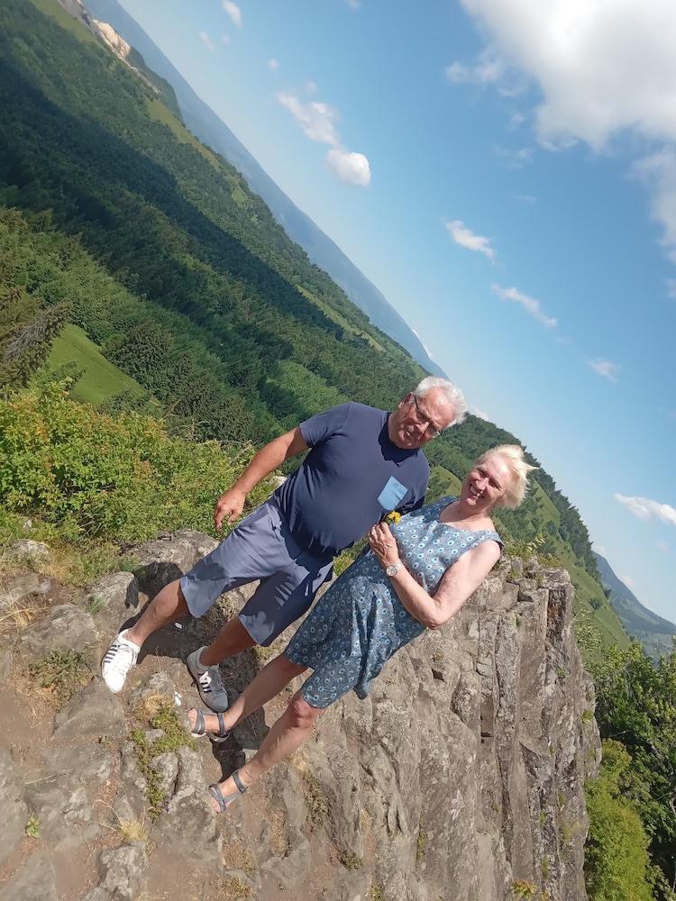 Room in Guest Room - Rural Holiday Transylvania