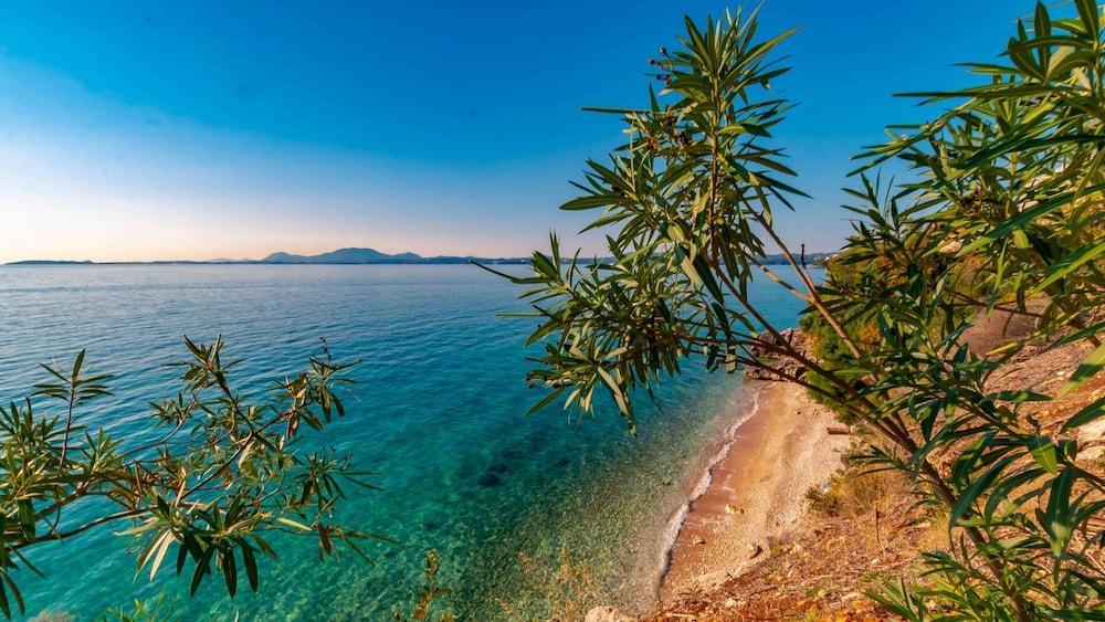 Homric Boutique 4star