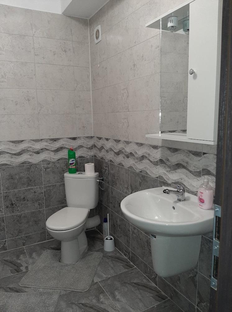 Inviting 1-bed House in Roșu