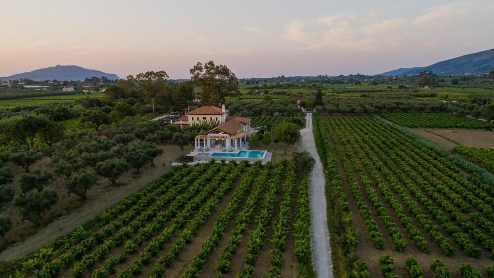 Aneli Villas - Villa Elissavet