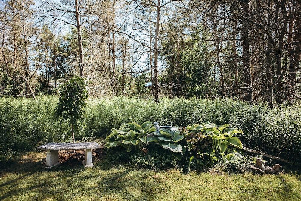 Dreamers Writing Farm