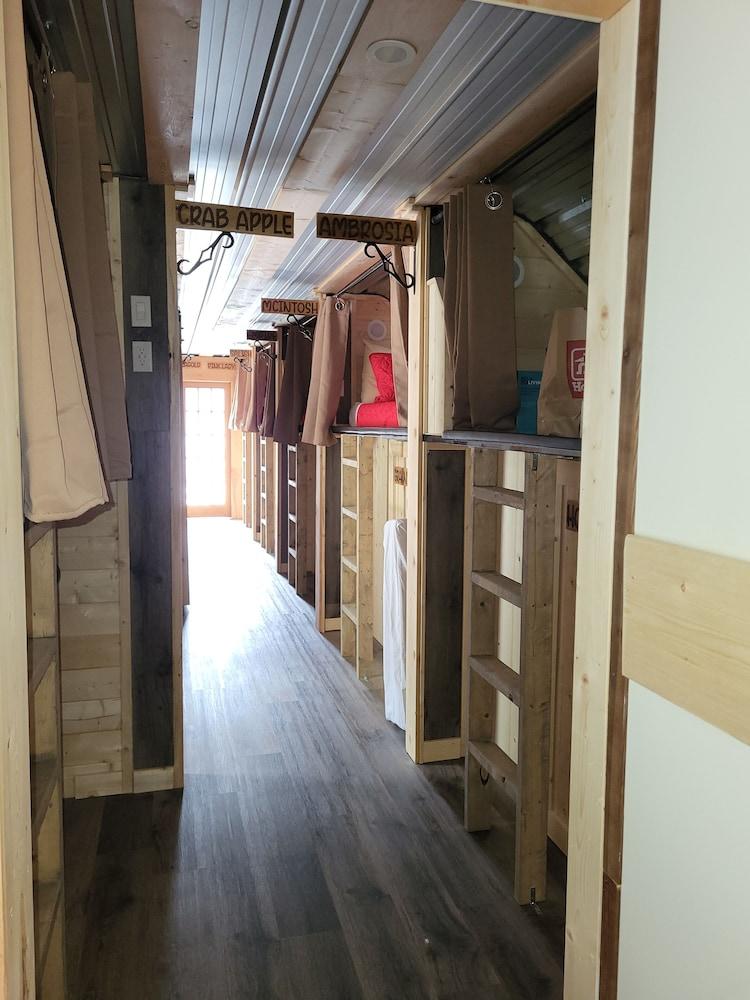 The Orchard Hostel Private Bunks