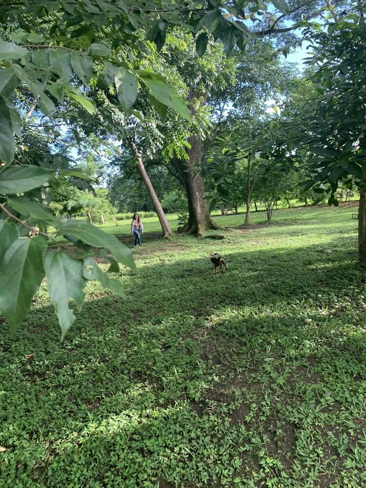 Private Sanctuary Surrounded by Green Pastures