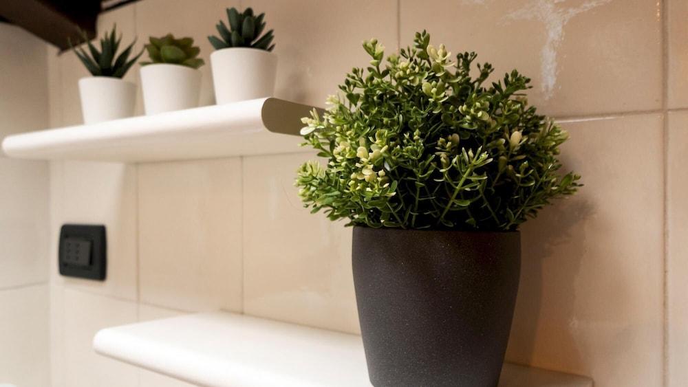 Italianway - Piella 5