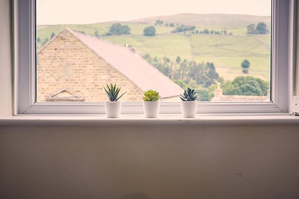 Host Stay Chapel Race - Slit Wood