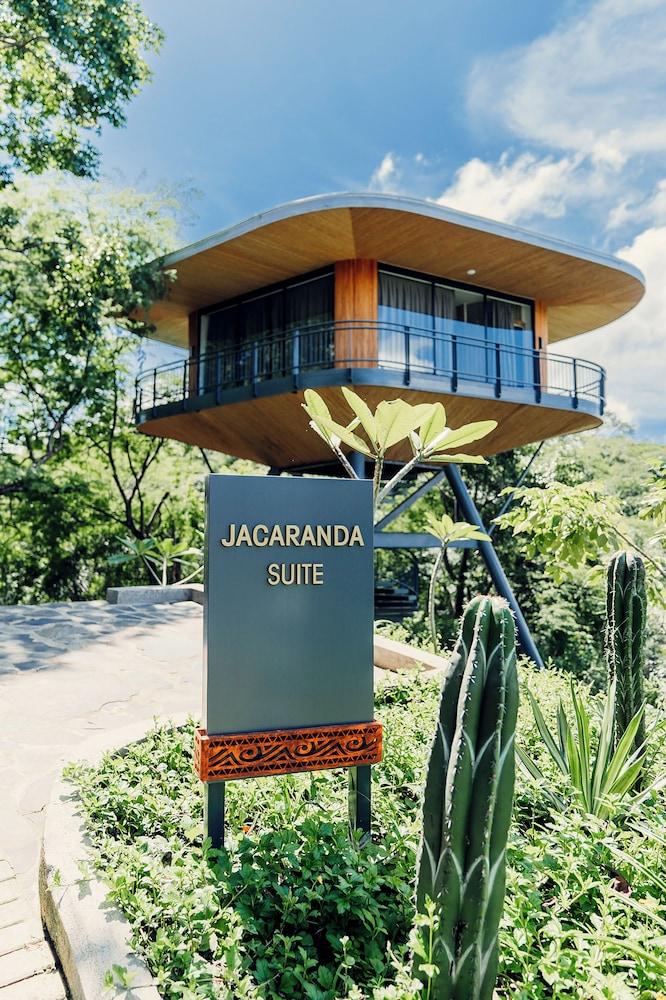 Suitree Experience Hotel