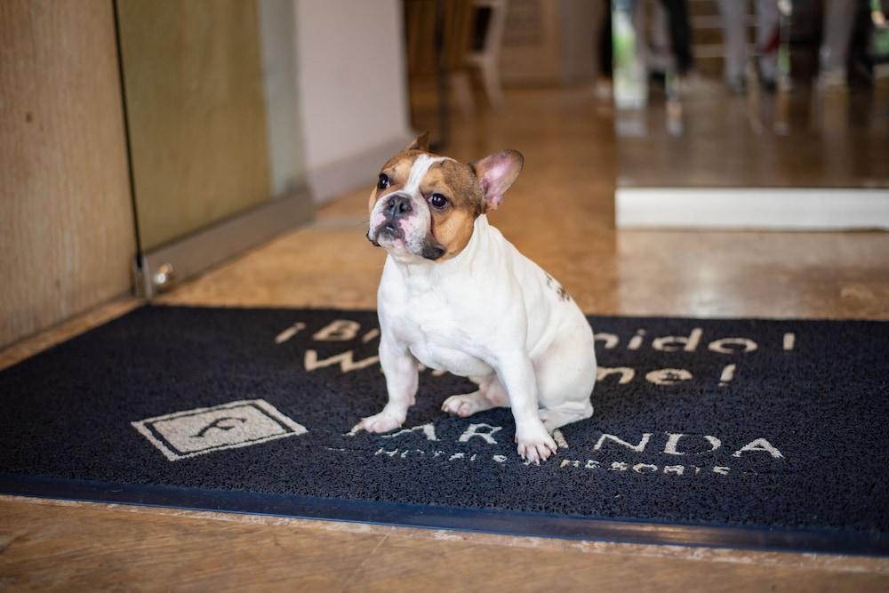 Faranda Express Belvedere