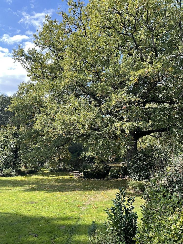 Manoir de la Chaussée