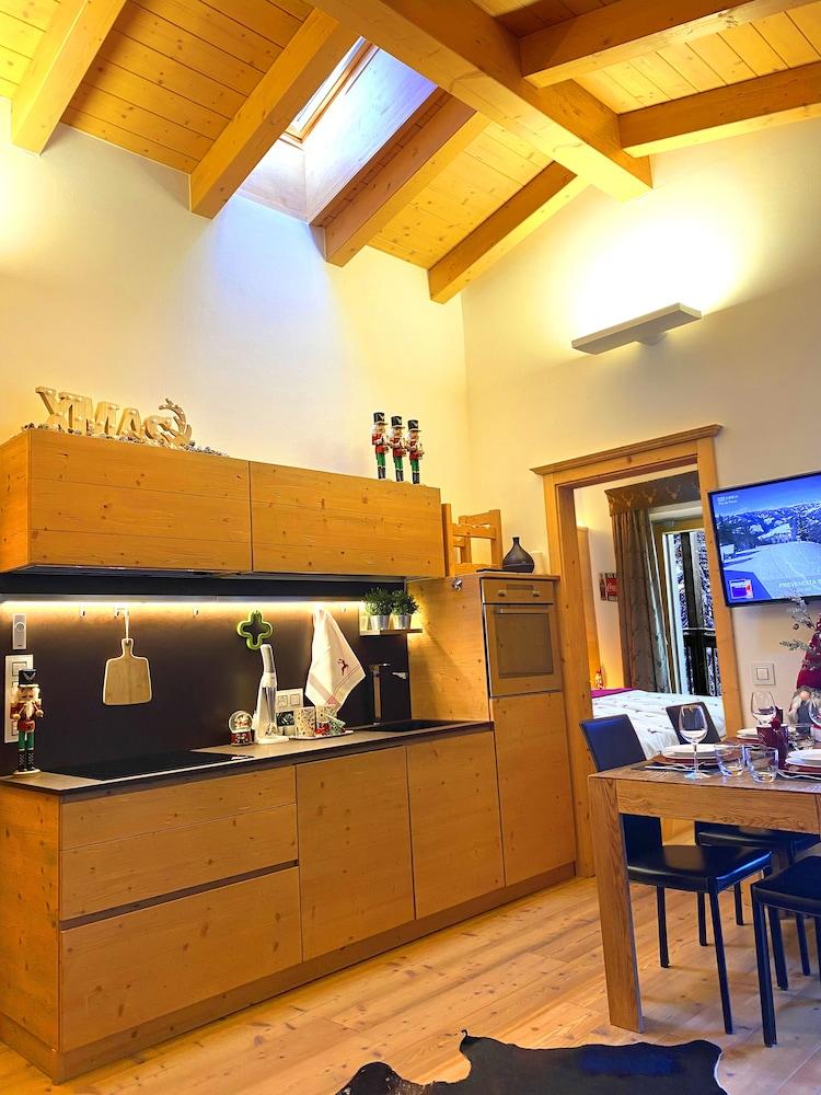 Apartment on the ski Slopes at Plan de Corones