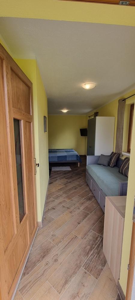 Lo Noyer Et Les Roses