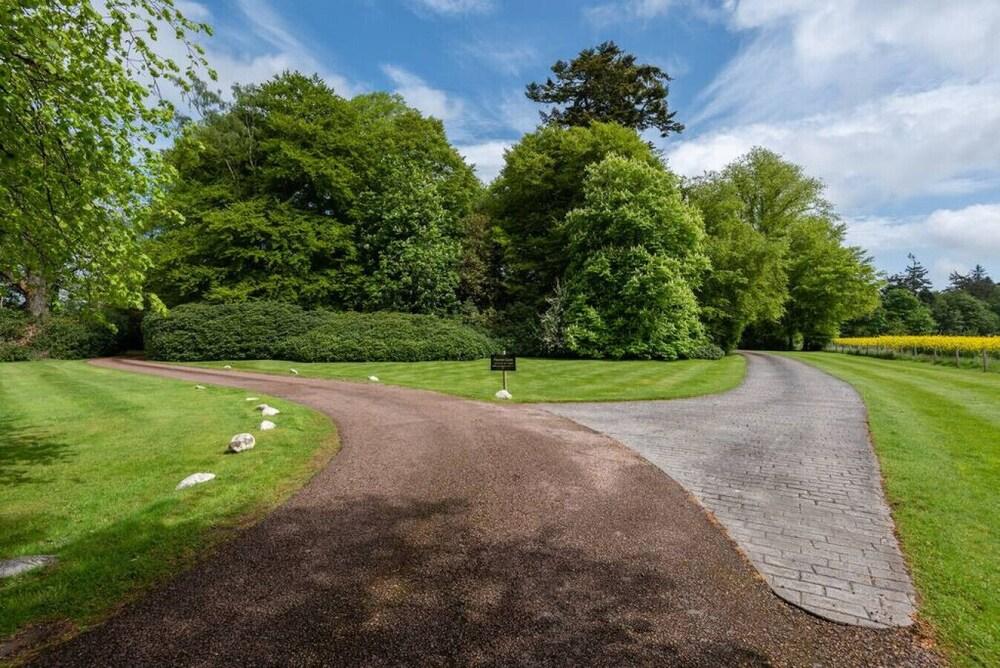 The Nutcracker Suite