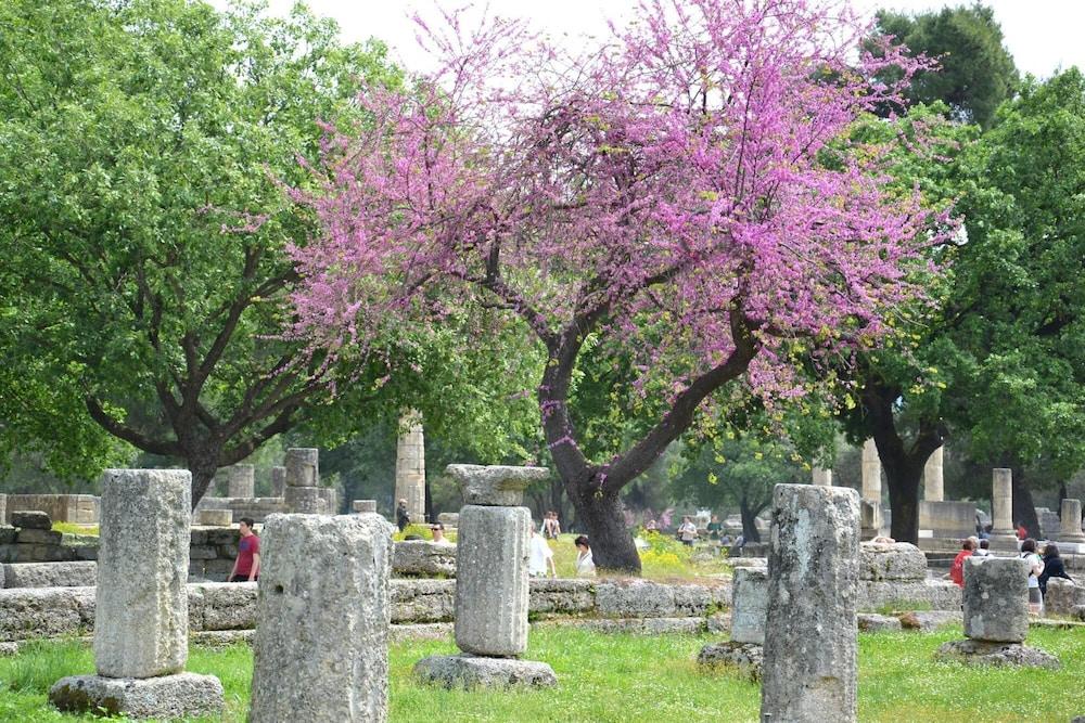 The House Olympia in Olympia