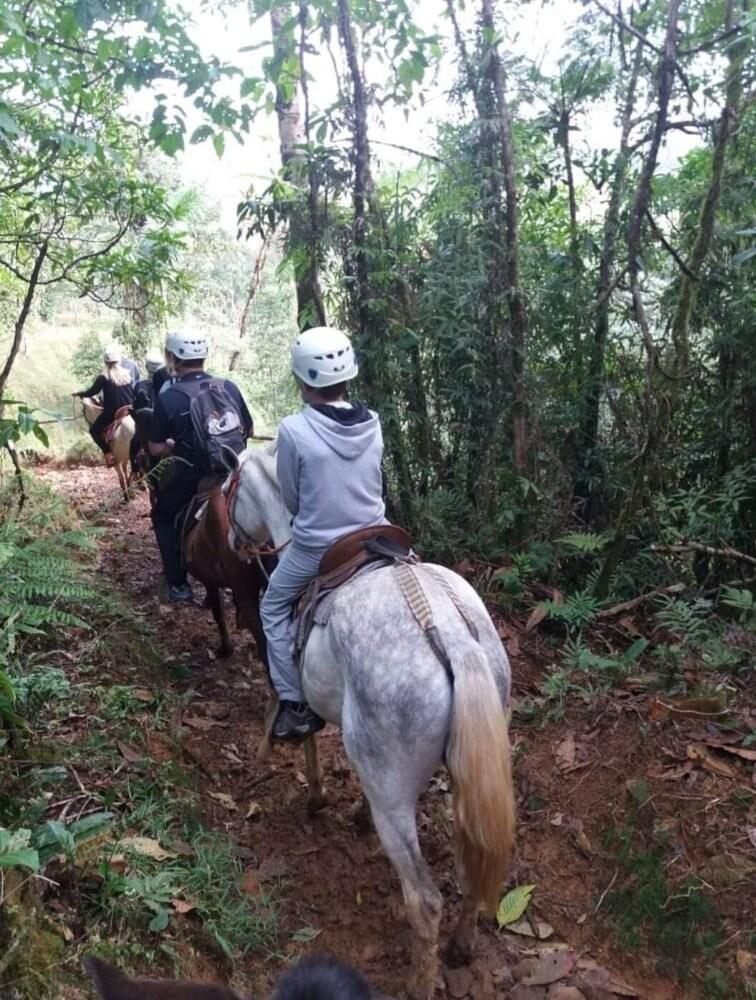 Hotel Rio Celeste to Know