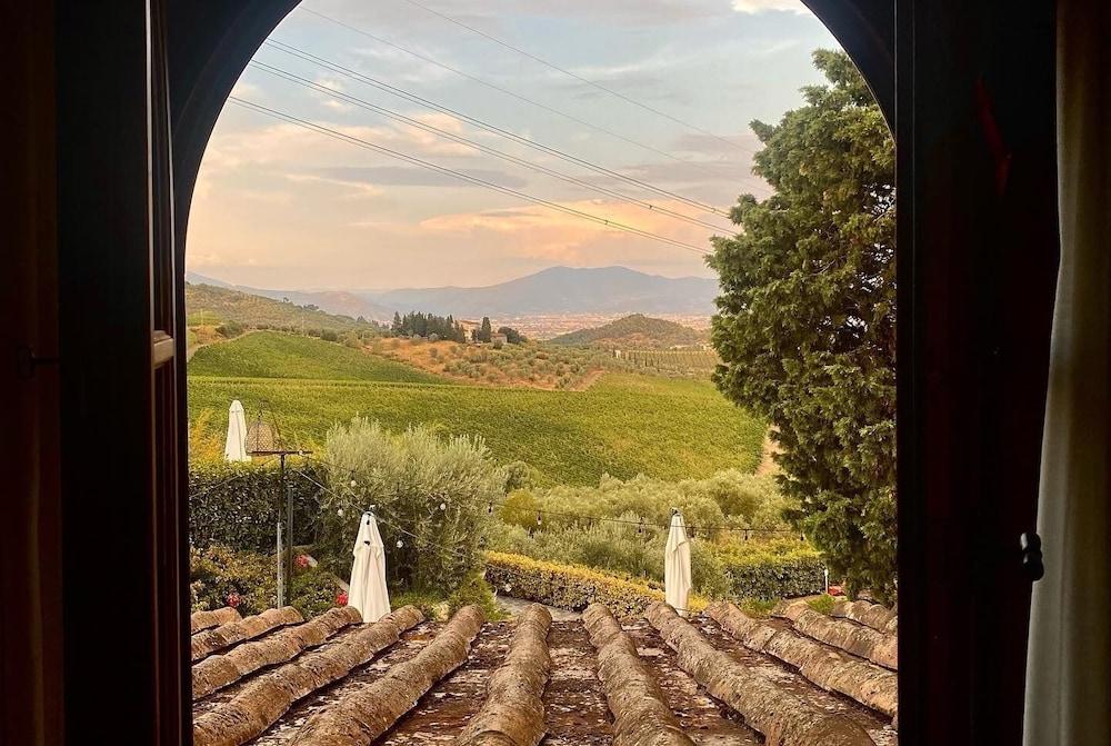Room in B&B - Room Overlooking the Vineyards and Florence