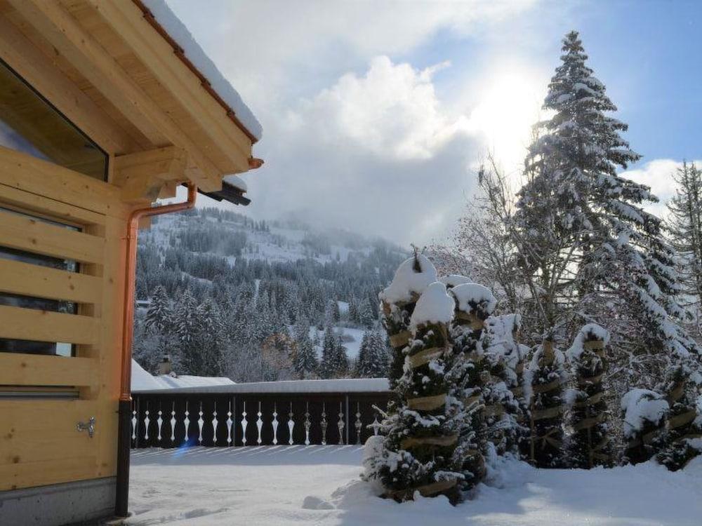 Ariel Saanen in Saanen