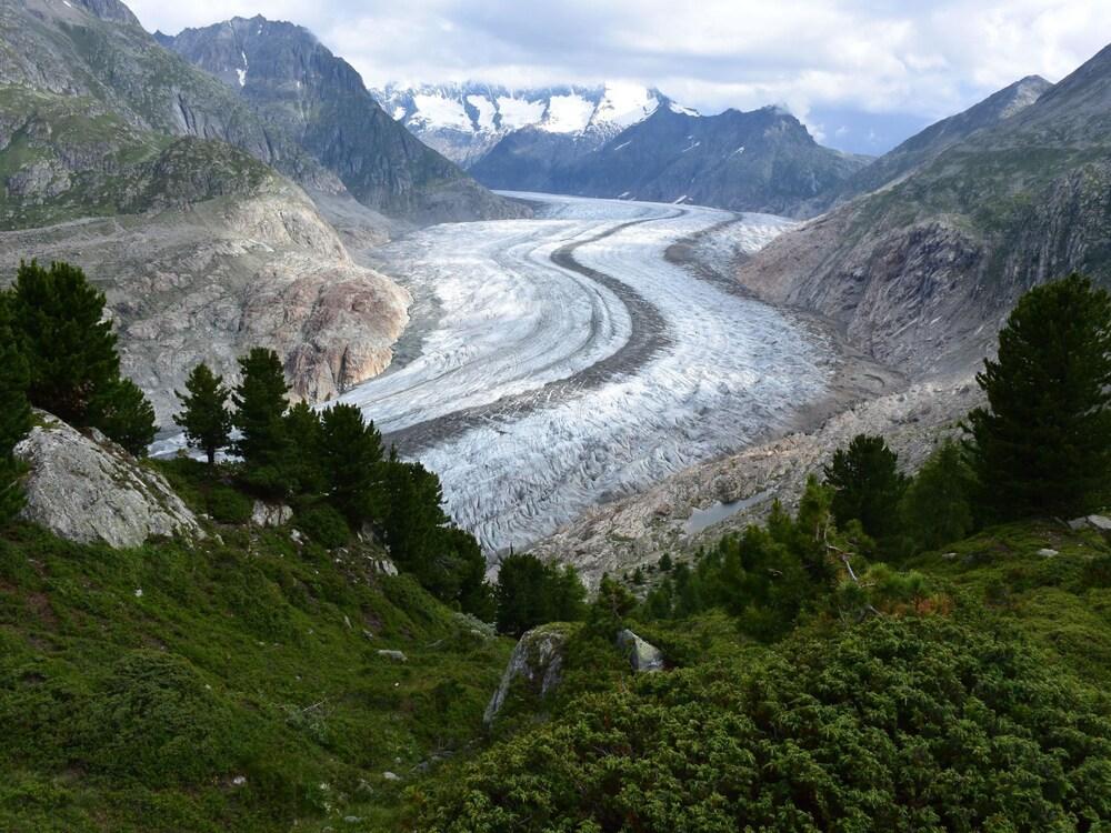 S Dlenz 33 Riederalp