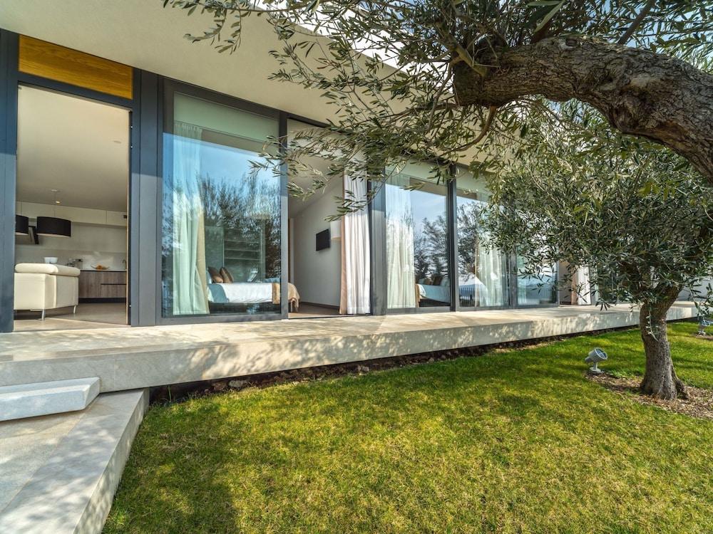 Golden Ray Primo ten