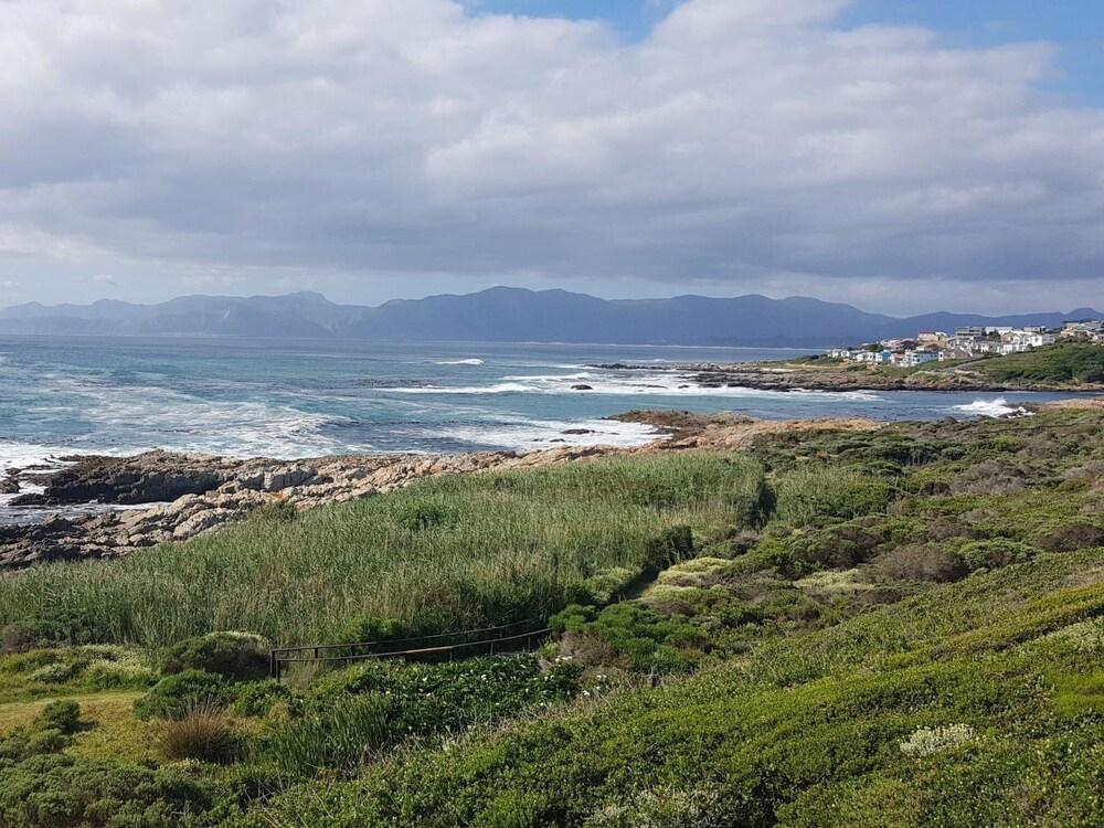 Royal Whale Watching Gansbaai