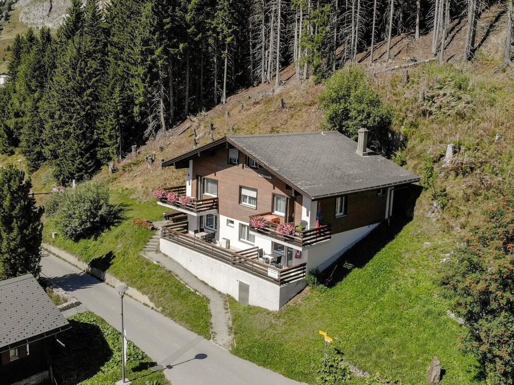 Waldesrand B Ttlihorn Riederalp