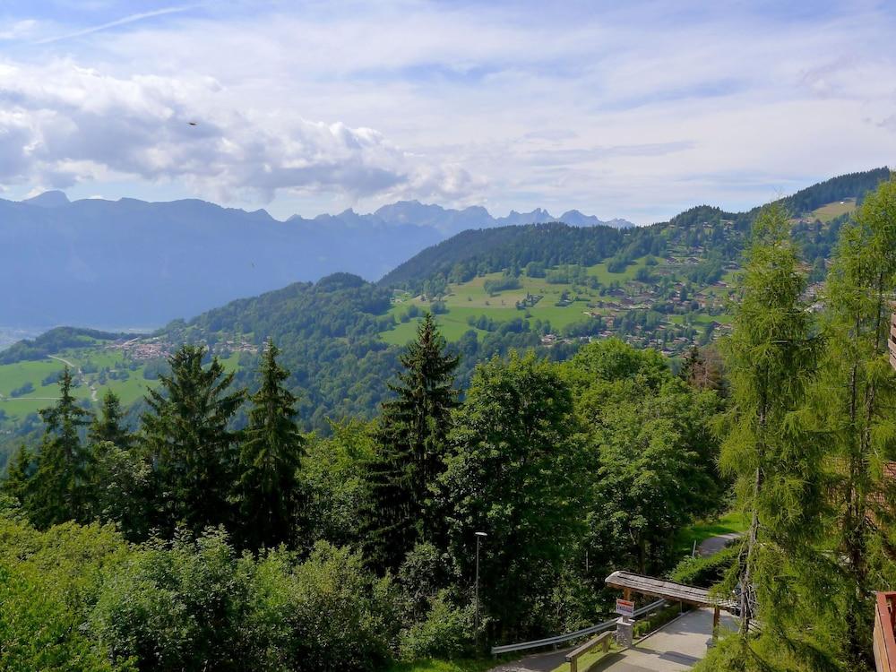 Le Bristol B36 Ollon