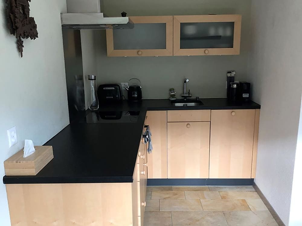 Cosy Chalet Engelberg