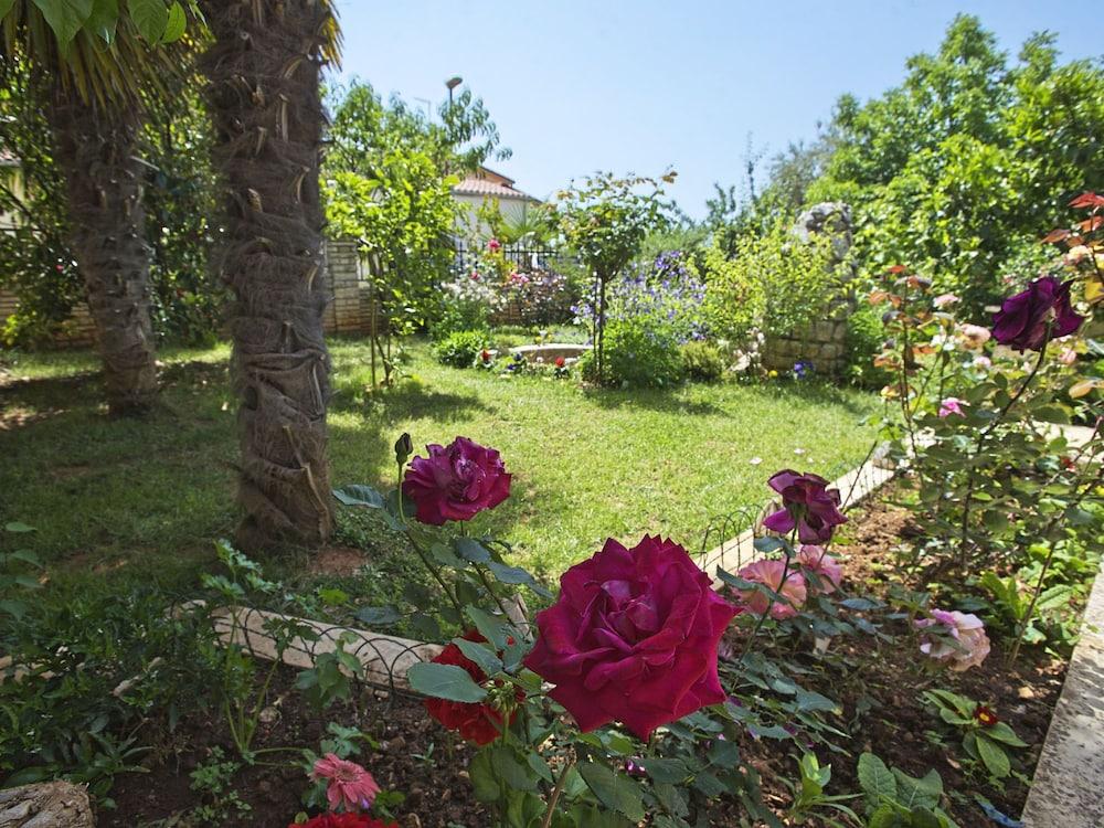 Danica Peroj in Peroj