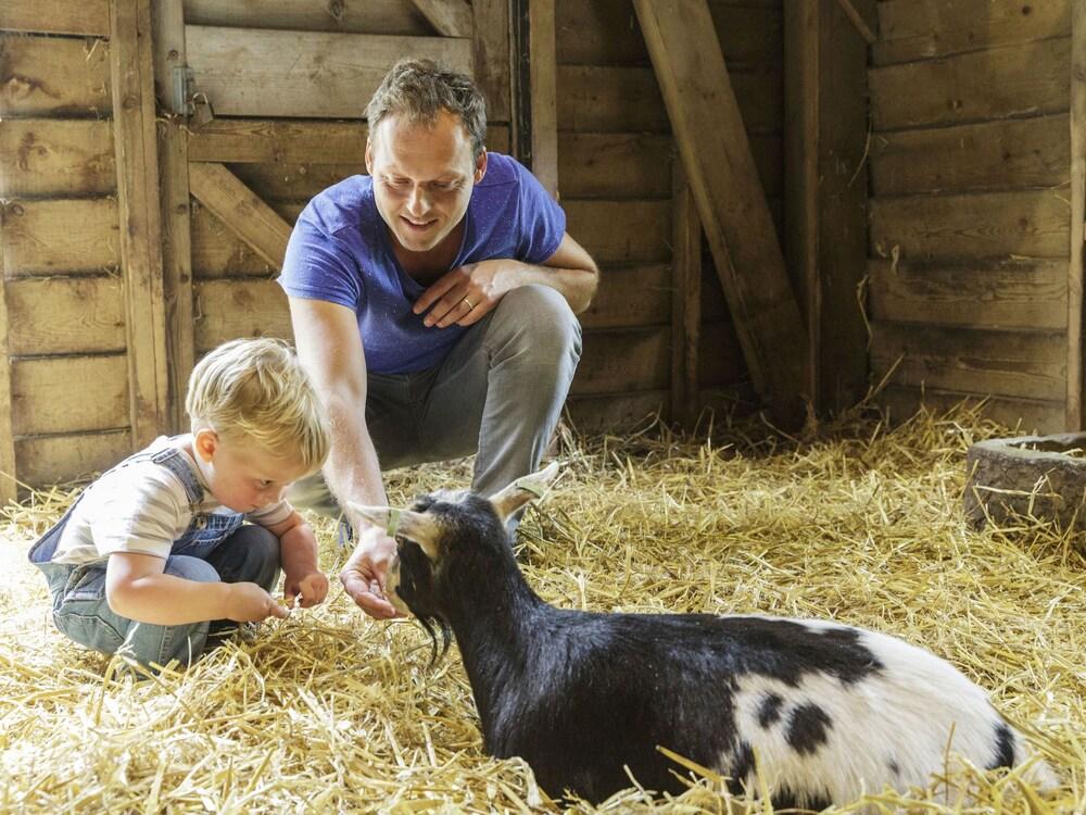 Center Parcs Het Meerdal America