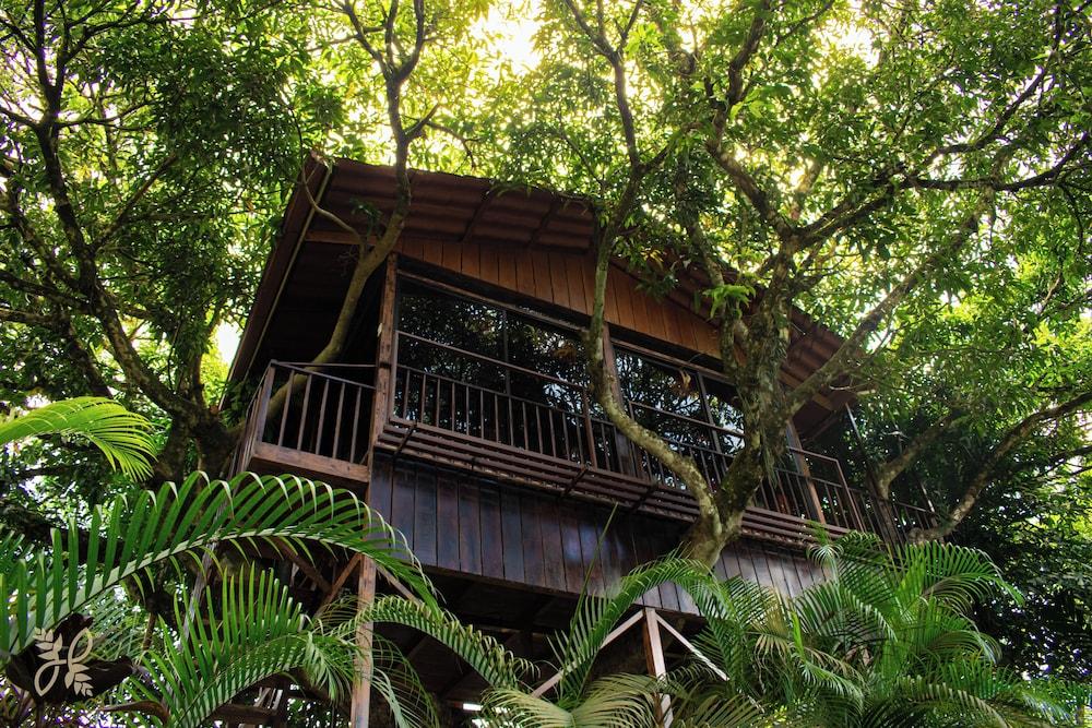 Hotel Heliconias Nature Inn & Hot Springs