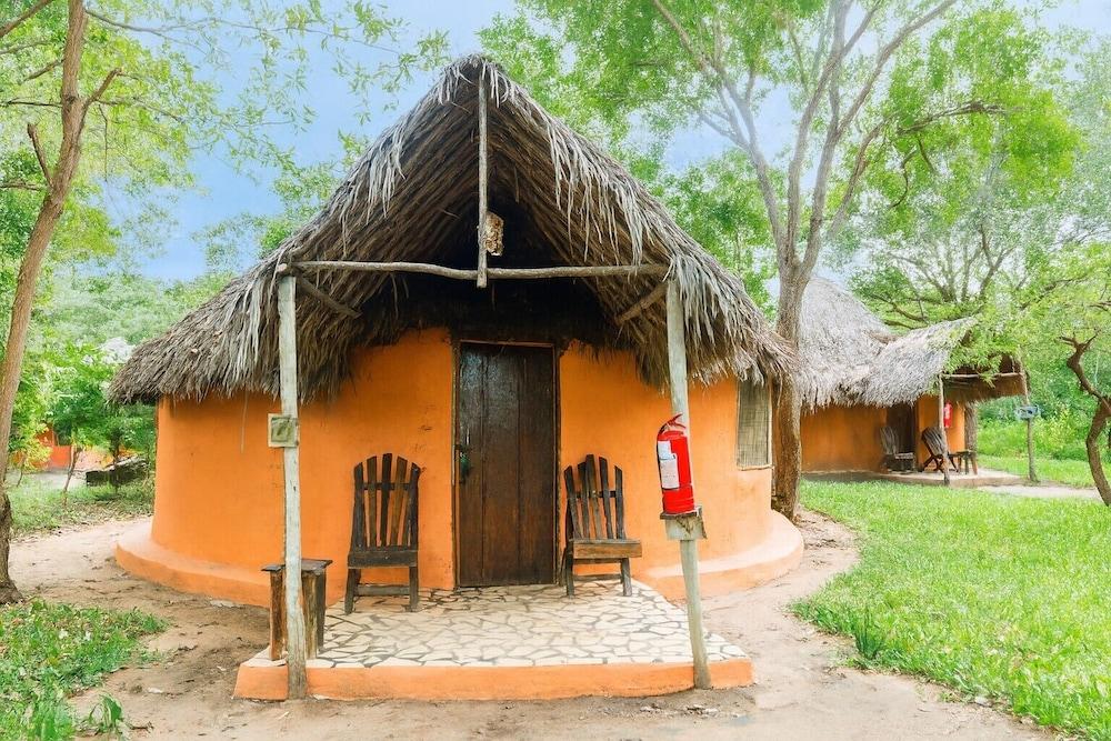 Africa Safari Selous