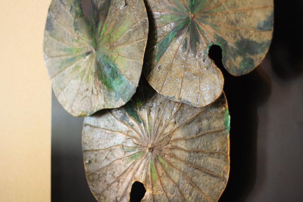 Star View Boutique Resort