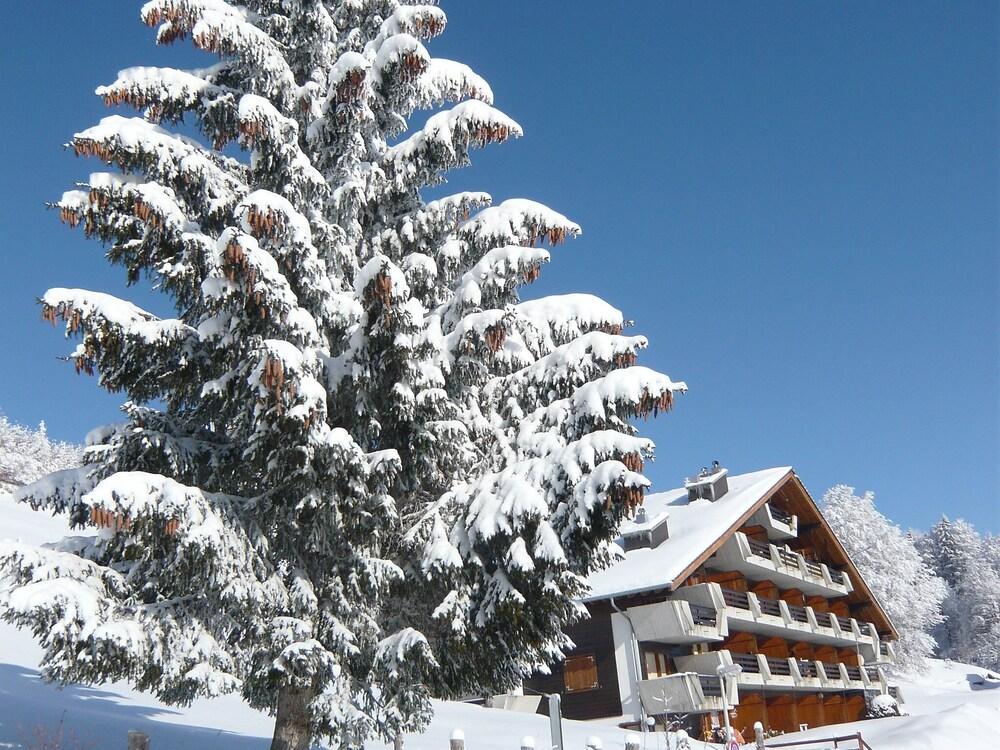 Licorne Sainte-croix