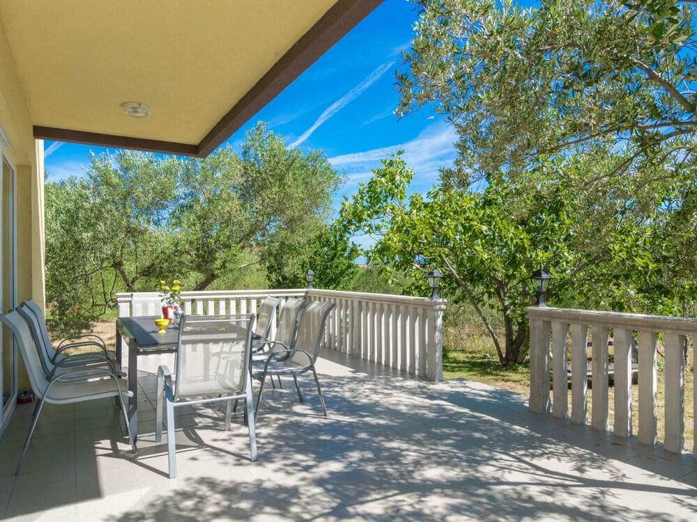 Tea Nevi ane in Nevi ane