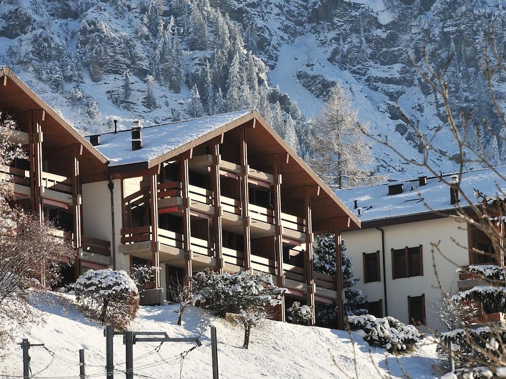 Primula Lauterbrunnen