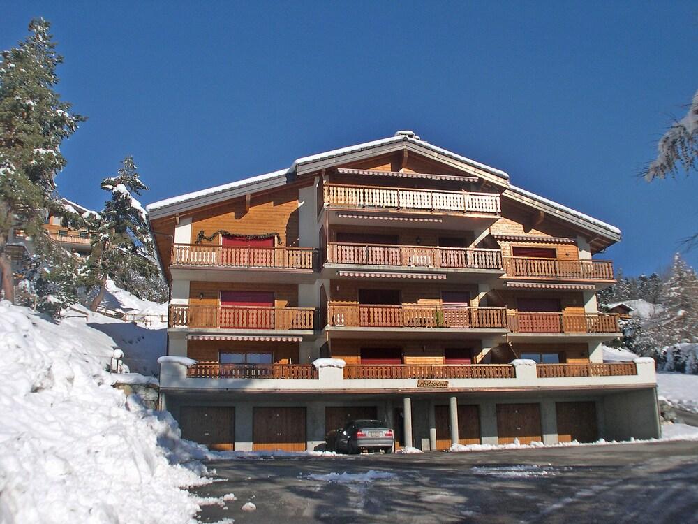 Ard Vine 5 Leytron in Leytron