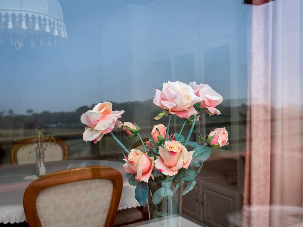 A905 Lahnstein in Lahnstein