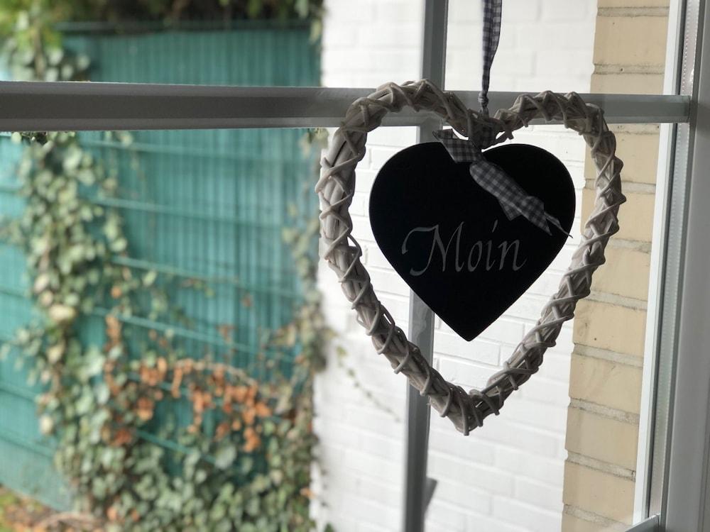 Seestern Norden in Norden