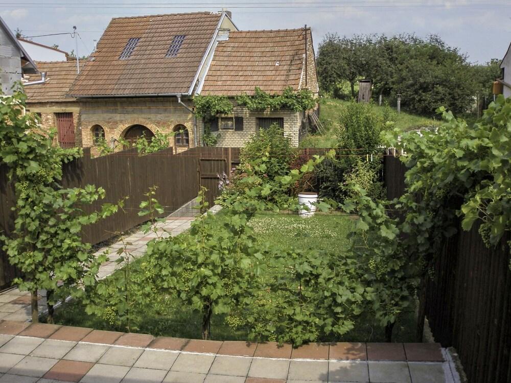 Vinarska Doln Bojanovice