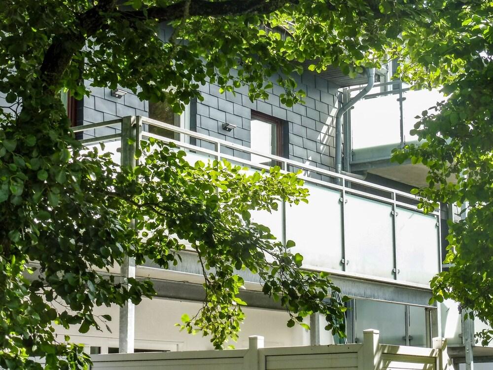 Fasan Warwerort in Warwerort