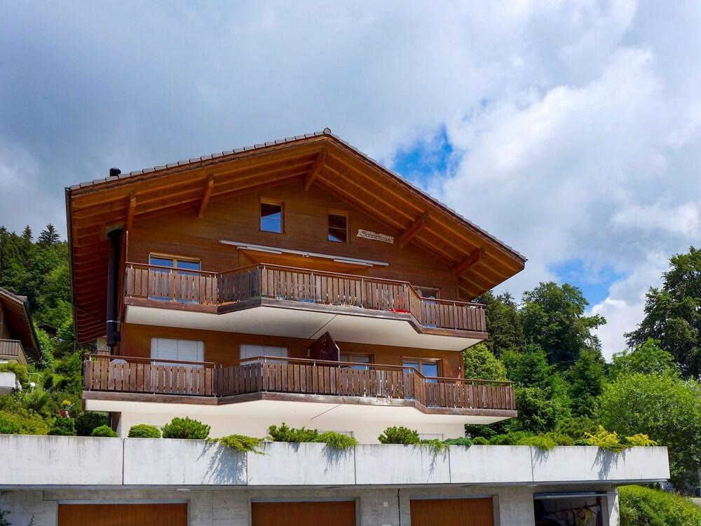 Mountain Lake Panorama Beatenberg